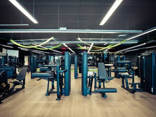 Halle/Industriefläche zur Miete 10.800 € 900 m² Lagerfläche Wilhelmsburg 3150