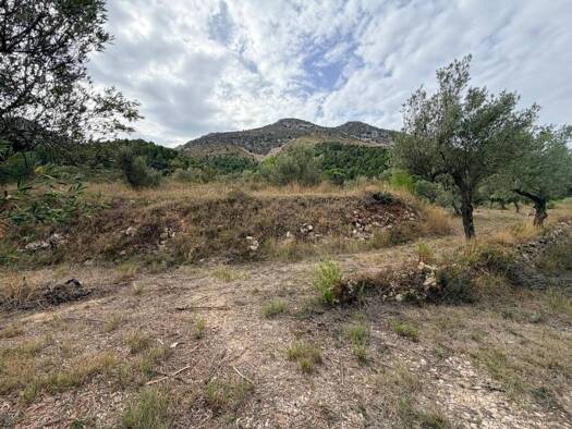Acker-/Waldstück zum Kauf 25.000 € Fageca 03813