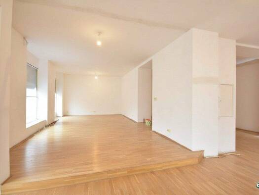 Halle/Industriefläche zur Miete 12,50 € 293 m² Lagerfläche Himmelpfortstiege Wien 1090