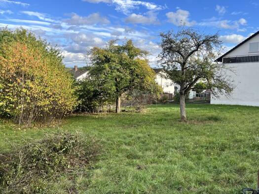 Grundstück zum Kauf 98.000 € 521 m² Grundstück frei ab sofort Tauberbischofsheim Tauberbischofsheim 97941