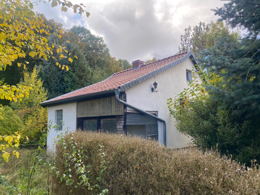 Haus zum Kauf 33.000 € 1 Zimmer 46 m² 3.580 m² Grundstück frei ab sofort Kelbra Kelbra (Kyffhäuser) 06537