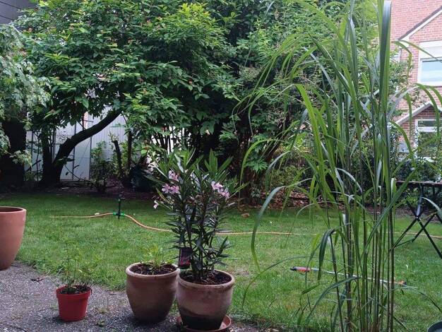 Wohnung zur Miete 1.110 € 3 Zimmer 96 m² EG Ludwig-Terfloth-Straße 15 Greven 48268