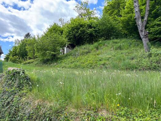 Grundstück zum Kauf 88.000 € 678 m² Grundstück Detmold / Berlebeck 32760