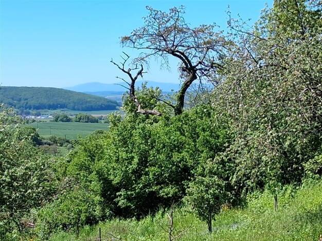 Grundstück zum Kauf als Kapitalanlage geeignet 499.000 € 638 m² Grundstück Büdingen Bündigen 63654