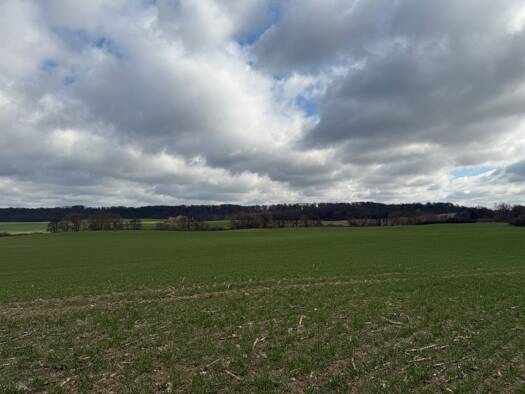 Land-/Forstwirtschaft zum Kauf 10.000.000 € 2.000.000 m² Paulsstadt Schwerin 19053