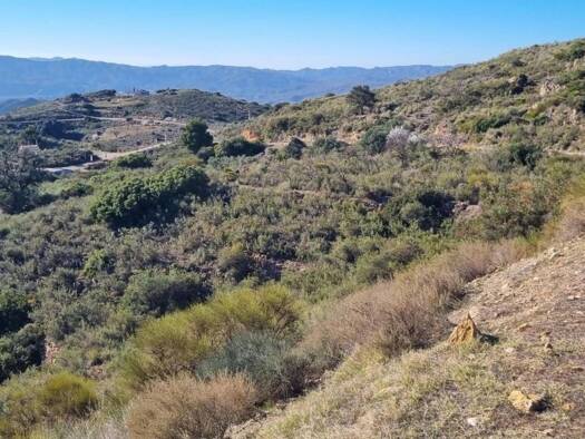 Acker-/Waldstück zum Kauf 59.000 € RAMBLA DE LA SERENA 1 Bédar 04288