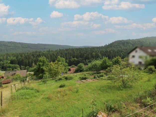 Grundstück zum Kauf 124.500 € 1.035,2 m² Grundstück Sprollenhaus Bad Wildbad 75323