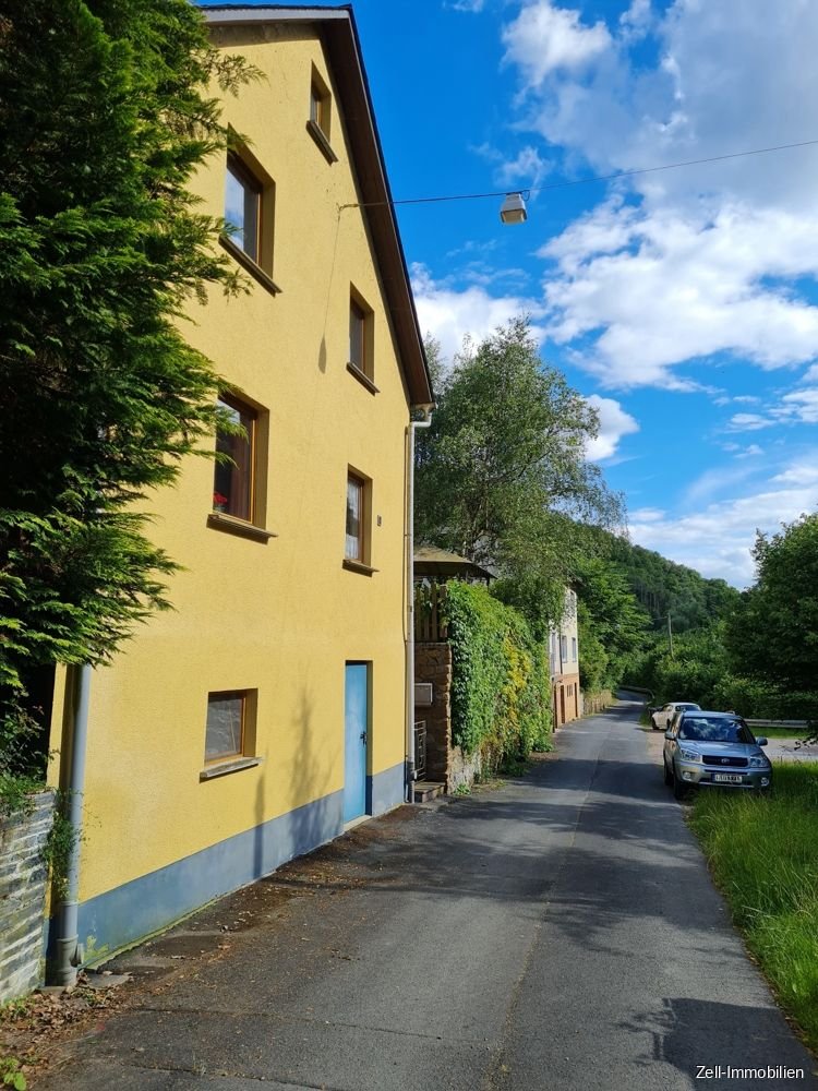 Einfamilienhaus zum Kauf 168.000 € 4 Zimmer 96 m²<br/>Wohnfläche 528 m²<br/>Grundstück Sauerthal 65391