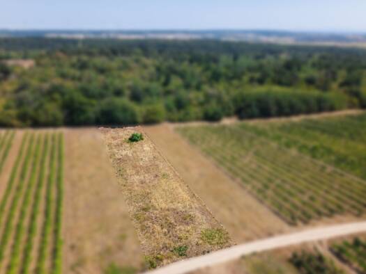 Land-/Forstwirtschaft zum Kauf 9.666 € 1.611 m² Grundstück Groß-Schweinbarth 2221