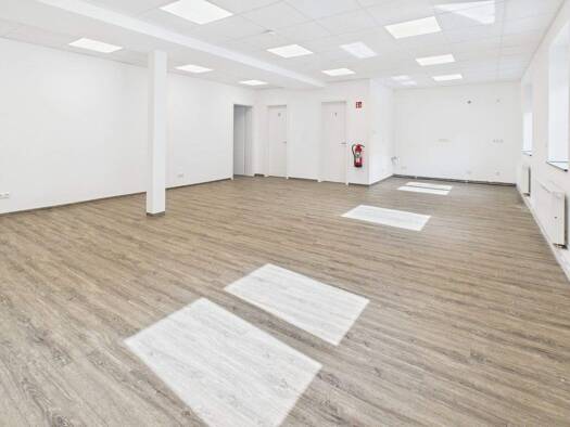 Bürofläche zur Miete provisionsfrei 14 € 135 m² Bürofläche Düren 52349