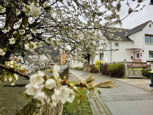 Einfamilienhaus zum Kauf 8 Zimmer 140 m² 375 m² Grundstück Döschwitz Kretzschau 06712