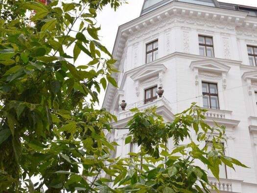 Wohnung zum Kauf 6.800.000 € 5 Zimmer 244,2 m² Schellinggasse Wien 1010