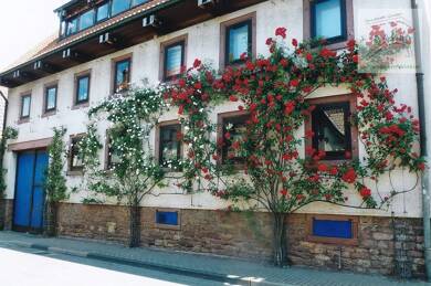 Mehrfamilienhaus zum Kauf 990.000 € 12 Zimmer 395 m² 1.352 m² Grundstück frei ab 01.07.2025 Nußloch Nußloch 69226