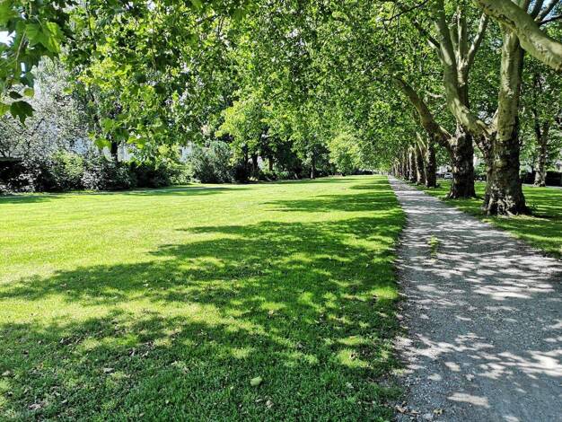 Wohnung zur Miete 995 € 5 Zimmer 122 m² 1. Geschoss frei ab 01.01.2026 Mühlenstr. 90 Innenstadt Bielefeld 33607