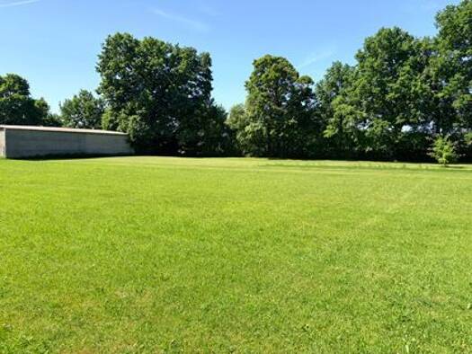 Einfamilienhaus zum Kauf 9 Zimmer 135 m² 163.670 m² Grundstück Arenzhain Doberlug-Kirchhain 03253