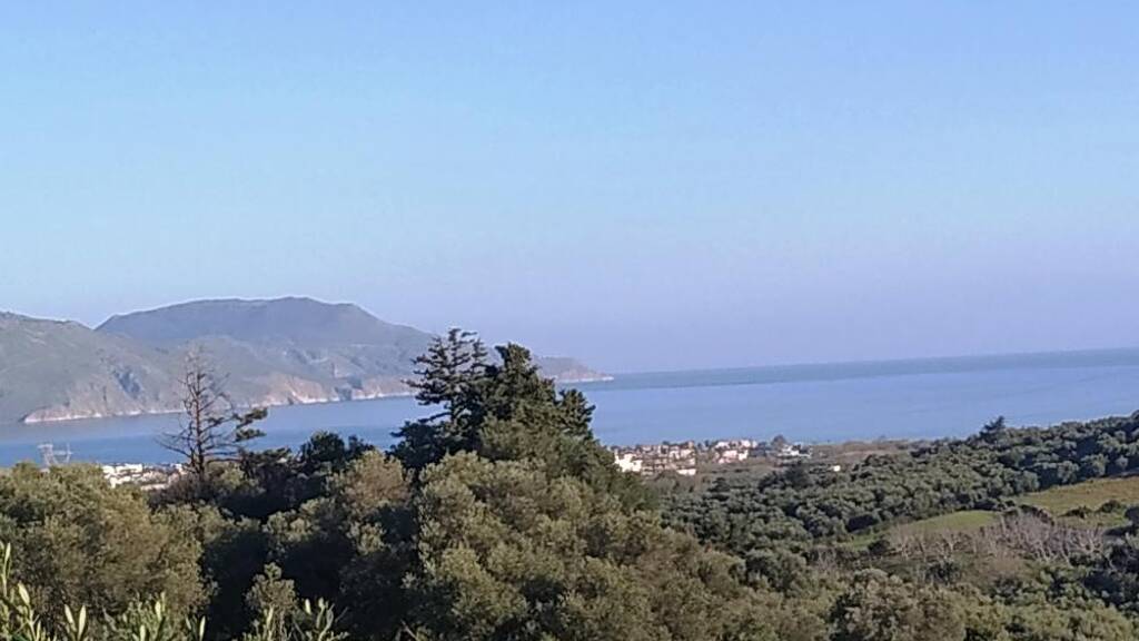 Grundstück zum Kauf 155.000 € 6.312 m² Grundstück Kreta Kastellos bei Kournas 730 07