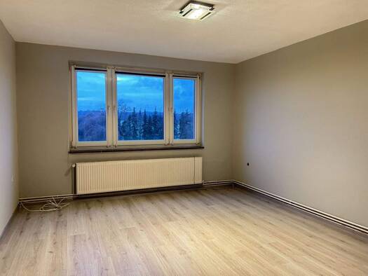 Wohnung zur Miete 480 € 3 Zimmer 60 m² 2 Geschosse frei ab sofort Brook Kalkhorst 23948