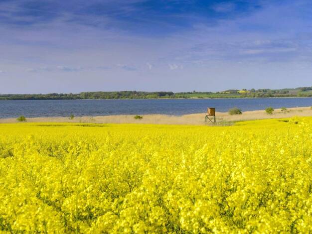 Einfamilienhaus zum Kauf - Erstbezug provisionsfrei 467.240 € 4 Zimmer 134,4 m² 801 m² Grundstück Kaltenhof Nordwestmecklenburg - Landkreis - Dassow 23942