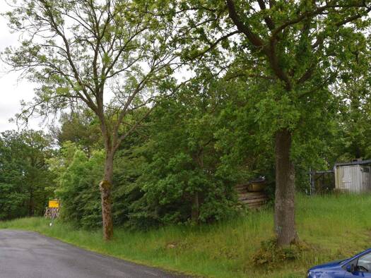 Grundstück zum Kauf 17.000 € 8.347 m² Grundstück Straße der Solidaroität 0 Geilsdorf Weischlitz 08538