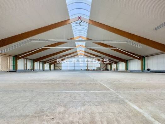 Halle/Industriefläche zur Miete provisionsfrei 1.910 m² Lagerfläche teilbar ab 1.910 m² Arnsdorf Arnsdorf 01477