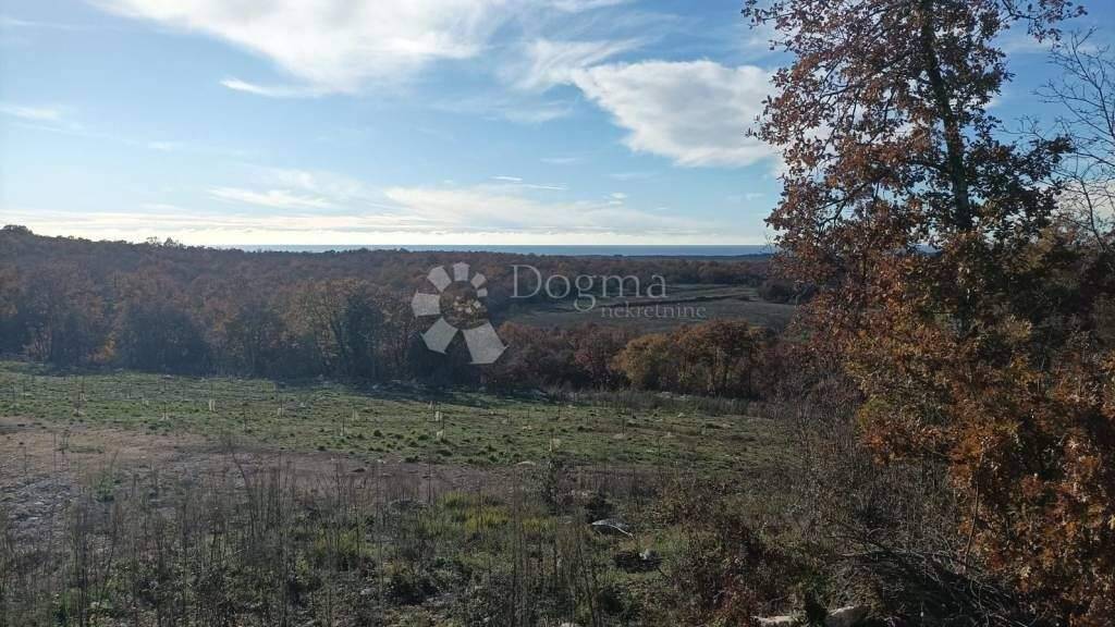 Land-/Forstwirtschaft zum Kauf 120.000 € Bale