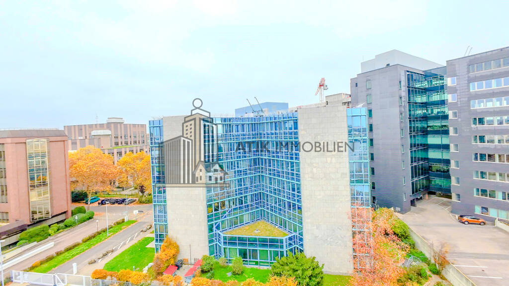 Bürofläche zur Miete provisionsfrei 10,50 € 280 m² Bürofläche Oststadt Mannheim / Schwetzingerstadt Oststadt 68165