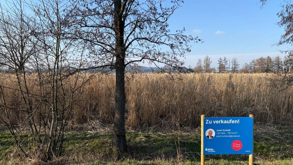 Land-/Forstwirtschaft zum Kauf 155.500 € 8.473 m² Grundstück Haselbach 5280