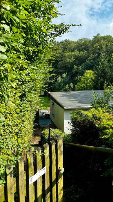 Einfamilienhaus zum Kauf 120.000 € 3 Zimmer 57 m² 1.150 m² Grundstück Meisdorf Falkenstein/Harz 06463