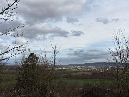 Grundstück zum Kauf 229.000 € 946 m² Grundstück Laubenheim 55452