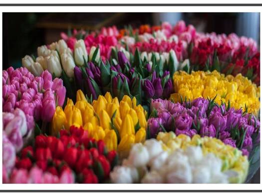 Terrassenwohnung zur Miete 719 € 2 Zimmer 62,1 m² 1. Geschoss frei ab sofort Groß-Berliner-Damm 27 Johannisthal Berlin 12487