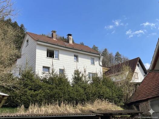 Einfamilienhaus zum Kauf 78.000 € 7 Zimmer 122 m² 57 m² Grundstück Langenthal Hirschhorn / Langenthal 69434