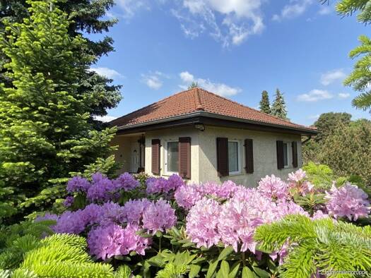 Einfamilienhaus zum Kauf 247.000 € 3 Zimmer 65 m² 11.368 m² Grundstück Coswig 01640