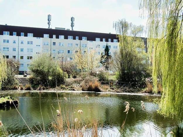 Wohnung zur Miete 620 € 4 Zimmer 92,1 m² 4. Geschoss frei ab sofort Georg-Dreke-Ring 93 Prenzlau 17291