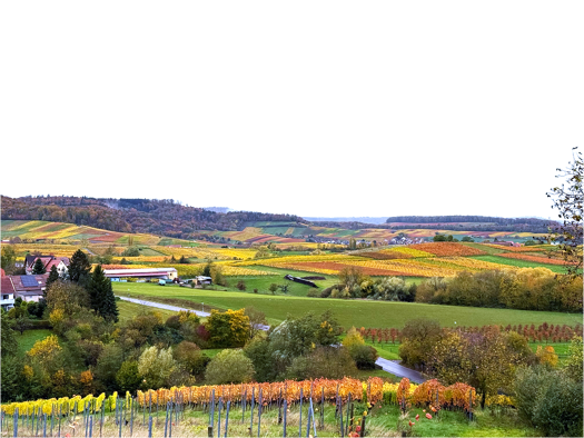 Grundstück zum Kauf 300.000 € 4.800 m² Grundstück frei ab sofort Reisach Löwenstein 74245