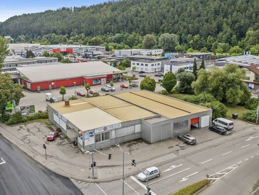 Lagerhalle zum Kauf provisionsfrei 1.450.000 € 1.010 m² Lagerfläche Tuttlingen 78532