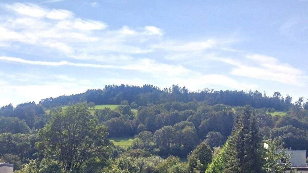 Grundstück zum Kauf 72.000 € 1.030 m² Grundstück Hilders 36115