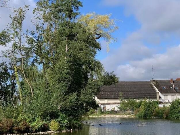 Mehrfamilienhaus zum Kauf 498.000 € 6 Zimmer 160 m² 820 m² Grundstück Weisendorf Weisendorf 91085