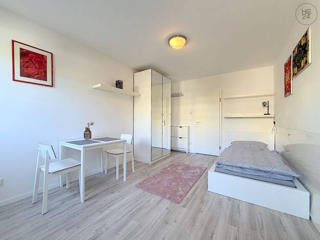 Wohnung zur Miete auf Zeit 695 € 1 Zimmer 22 m² frei ab sofort Südstadt Fürth 90763