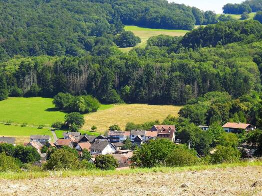 Grundstück zum Kauf 850.000 € 1.888 m² Grundstück Billings Fischbachtal 64405
