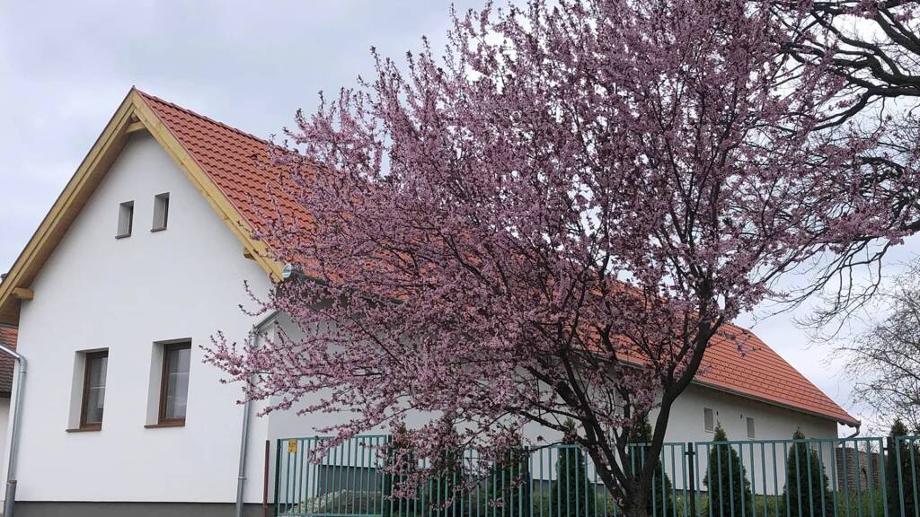 Hotel zum Kauf 384.500 € 7 Zimmer 125 m² Gastrofläche 1.200 m² Grundstück Balatonkeresztúr 8648