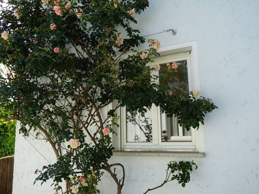 Einfamilienhaus zum Kauf als Kapitalanlage geeignet 259.000 € 4 Zimmer 120 m² 1.191 m² Grundstück Mitterleinbach Waldkirchen 94065