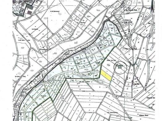 Grundstück zum Kauf 49.000 € 2.490 m² Grundstück Hinter der Gott Herl 54317