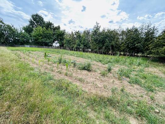 Grundstück zum Kauf 700 m² Grundstück Rot am See Rot am See 74585