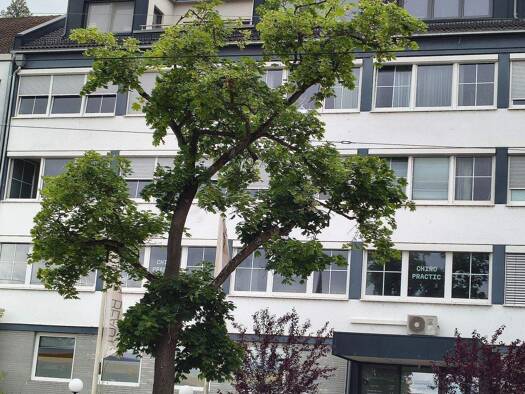 Wohnung zur Miete 500 € 2 Zimmer 40 m² 2. Geschoss frei ab 01.09.2026 Äußere Sulzbacher Straße 151 St Jobst Östliche Außenstadt 90491