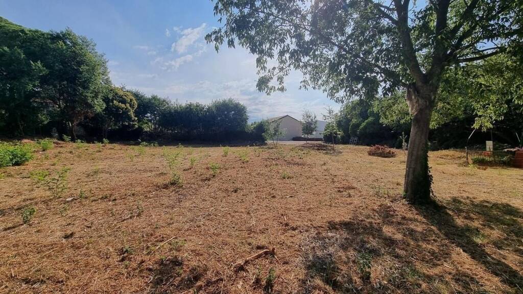 Land-/Forstwirtschaft zum Kauf 236.300 € Tar