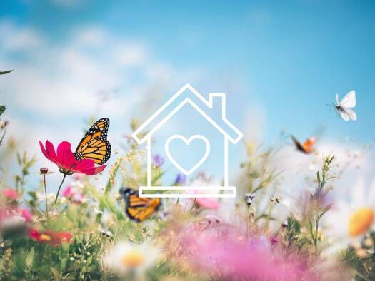 Grundstück zum Kauf 109.000 € 565 m² Grundstück Neugröba Riesa 01587