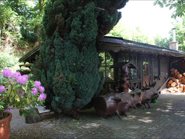 Haus zum Kauf 469.000 € 4 Zimmer 120 m² 7.450 m² Grundstück Mömbris Mömbris / Rappach 63776