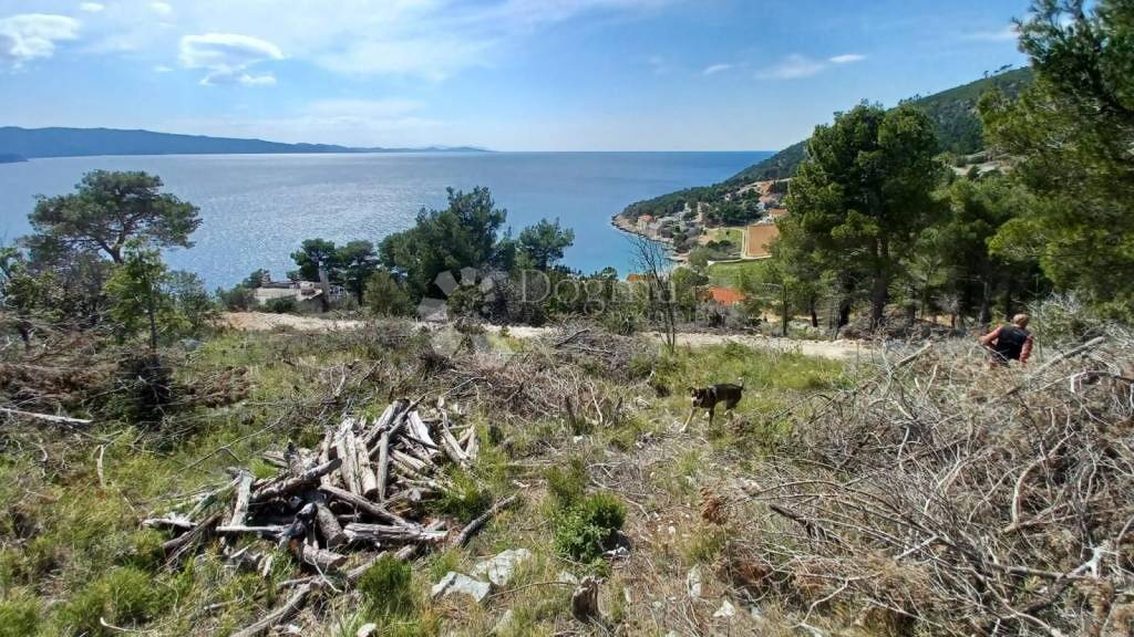 Land-/Forstwirtschaft zum Kauf 516.000 € Supetar