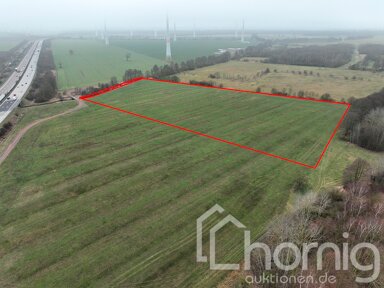 Land-/Forstwirtschaft zum Kauf 60.000 € 42.613 m² Grundstück Neuendorf Brück / Neuendorf bei Brück 14822