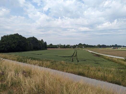 Land-/Forstwirtschaft zum Kauf provisionsfrei 157.000 € 6.280 m² Grundstück Hornstorf Straubing 94315